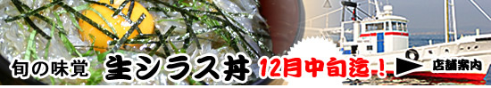 生シラス丼