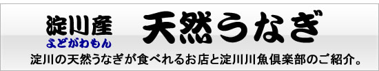 淀川産天然うなぎ